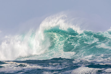The ocean is wild on a winter day. The waves are very high and roll over and spray forms. The Atlantic coast in Galicia in northern Spain is dangerous.