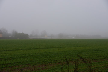 Mysterious autumn landscape. A village in a thick fog on the edge of a field of bright green grass.
