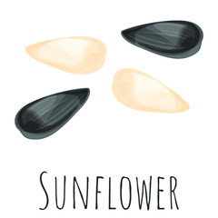 Sunflower seed isolated illustration, cartoon style vector clip-art.