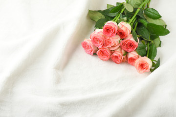Pink Roses on White Furr