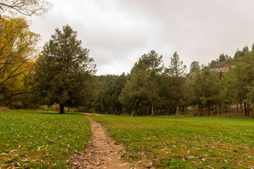 Obraz premium The Lobos River Canyon in the province of Soria
