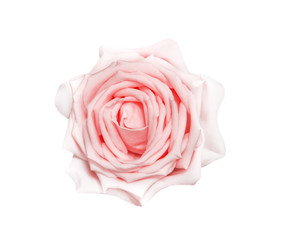 Single pink rose flower isolated on white background and clipping path top view