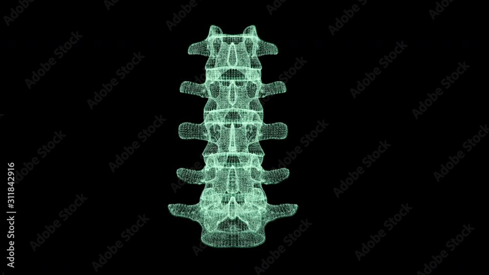 Leinwandbilder Futuristic head up display motion element virtual biomedical holographic human body scan neurological examination, axial skeleton, vertebral column, DNA and heart diagnostic for background display