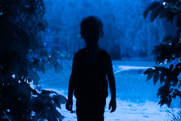 Silhouette of a boy in the aisle between the trees in blue night light. The concept of adventure,...