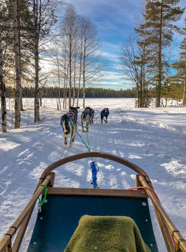 sled in lapland