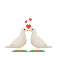 Two white doves in love. Love birds. Pigeons. Vector illustration for Valentine's Day.