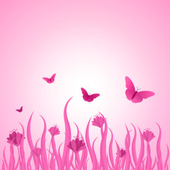 Obraz na płótnie Canvas Summer Spring Blooming Flower Nature Pink Garden Park Background