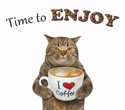 The beige cat is holding a big cup of coffee latte. Time to enjoy. White background. Isolated.