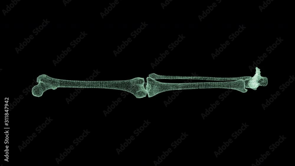 Poster Futuristic head up display motion element virtual biomedical holographic human body scan neurological examination, axial skeleton, vertebral column, DNA and heart diagnostic for background display