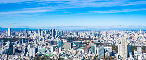 東京ワイドビュー