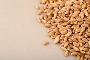 Heap Wheat grains on background. Close up