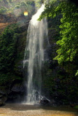 Fototapeta na wymiar View at upper Wli waterfall in Volta Region Ghana