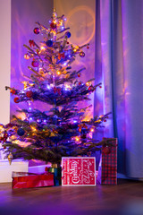 Fir-tree spruce with Christmas. Christmass tree.