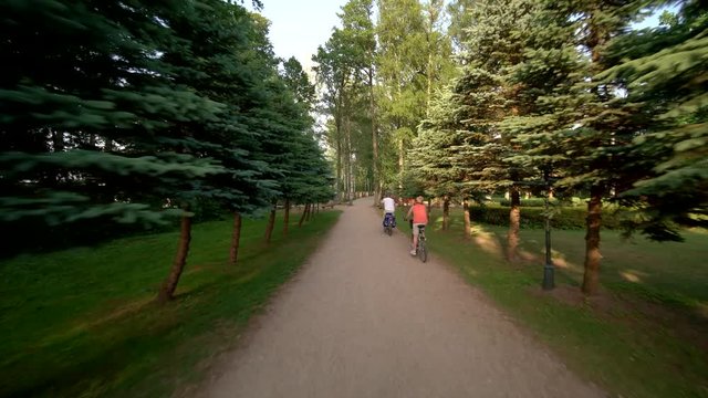 Couple riding bikes through forest, follow wide shot, Wigry National Park