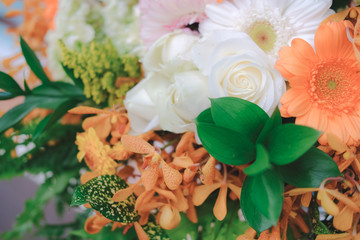 orange flower bouquet for decoration. gerbera rose for decorating