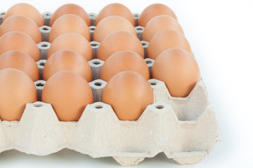 One missing egg on white background