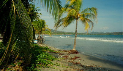Fototapeta na wymiar samara beach (playa sámara) in Guanacaste, Costa Rica