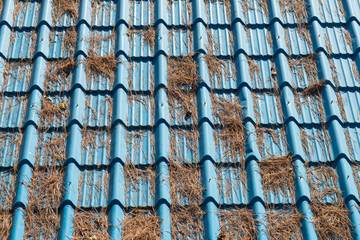 Texture surface of blue tile roof.