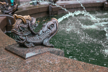 Elements of a beautiful fountain. Fish
