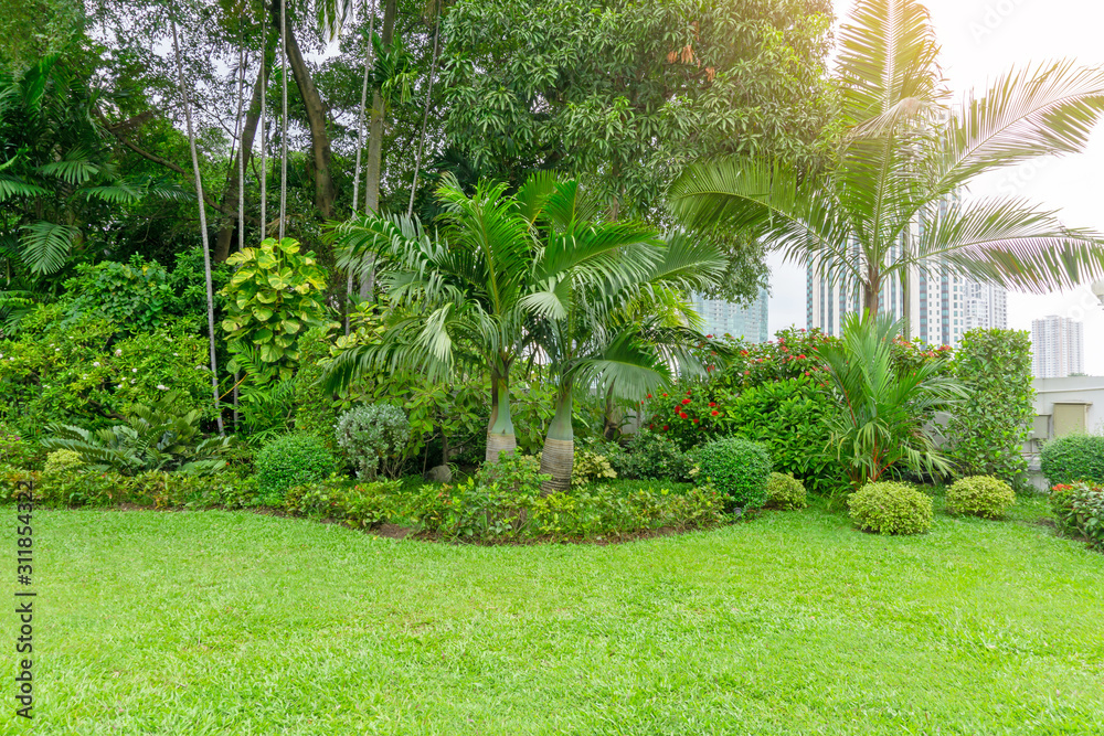 Aufkleber fresh green grass smooth lawn as a carpet with curve form of bush, trees in a backyard, building on 