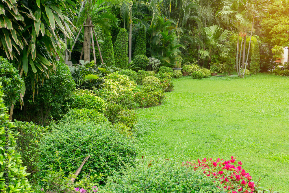 Aufkleber fresh green grass smooth lawn as a carpet with curve form of bush, trees in a backyard, good mainter