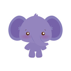 Cute elephant cartoon vector design