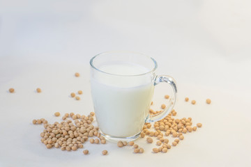 Soy and soy milk on a white background.