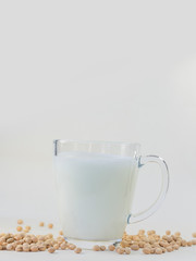 Soy and soy milk on a white background.