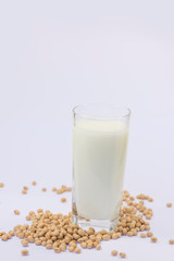 Soy and soy milk on a white background.