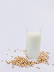Soy and soy milk on a white background.