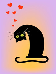 Black cat on a light background