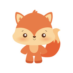 Cute fox cartoon vector design