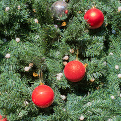 A fragment of a green spruce decorated with New Year's toys, balls and a garland of lights