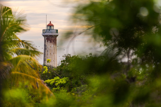 The old lighthouse of Puducherry, South India seen through a group of trees with birds flying by