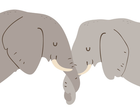 Elephant Entwine Trunks Show Affection