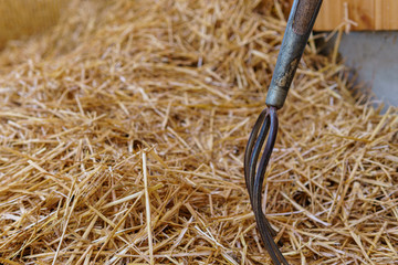 Pitchfork in Straw. Pitch Fork stuck into a heap of straw down on a farm - Closeup