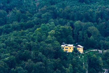 Some yellow houses in the middle of a green forest