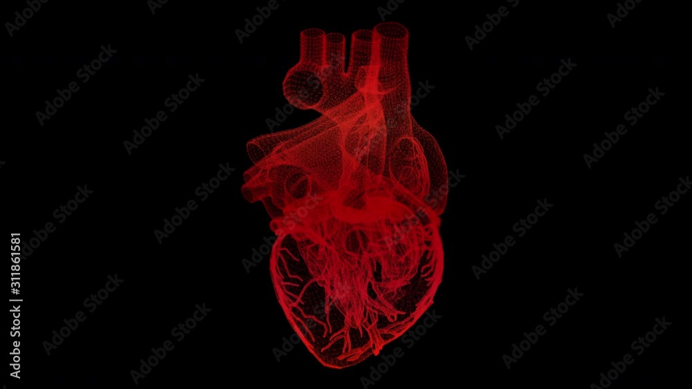 Aufkleber futuristic head up display motion element virtual biomedical holographic human body scan neurologica