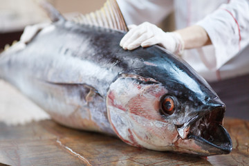 cook cooks big tuna in a restaurant