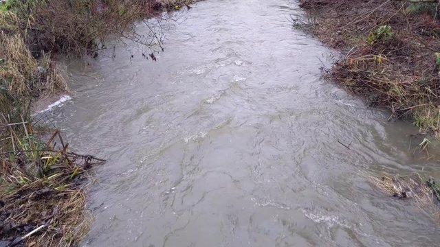 Flood water moving through a creek in the woods