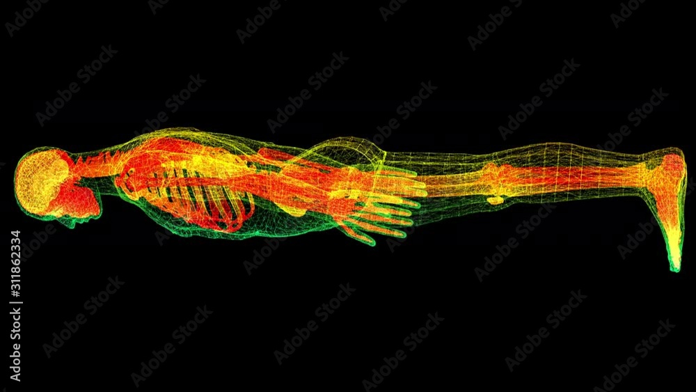 Aufkleber futuristic head up display motion element virtual biomedical holographic human body scan neurologica