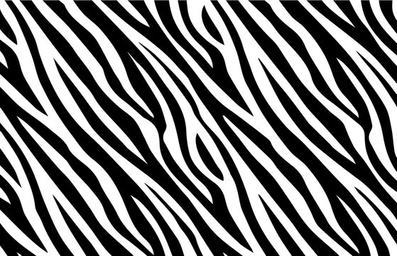 Zebra print, animal skin, tiger stripes, abstract pattern, line background, fabric. Amazing hand drawn vector illustration. Poster, banner. Black and white monochrome 