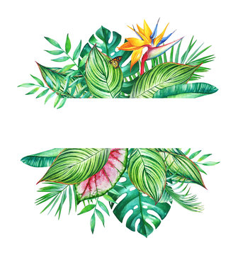 Tropical design with watercolor leaves and flowers.