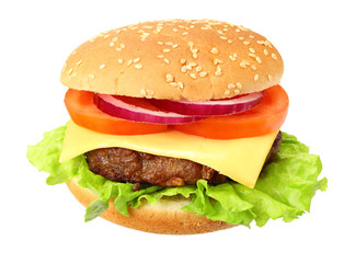 bbq hamburger with vegetables, spices isolated on white background