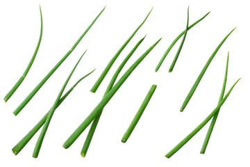 cut of green onion isolated on white background. top view