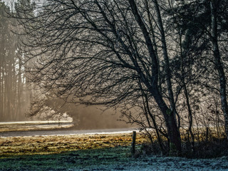 Frosty morning - frostiger Morgen