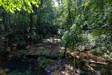 Rzeka w meksykańskeij dźungli