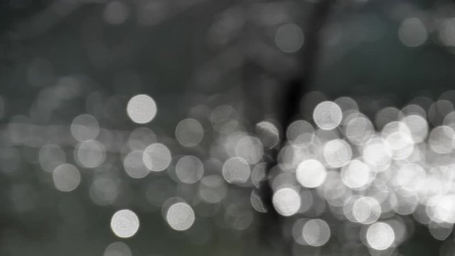 水面に映る光の反射