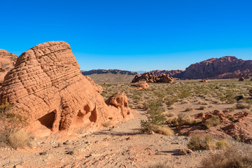 The unique red sandstone rock formations in Valley of Fire State park, Nevada, USA