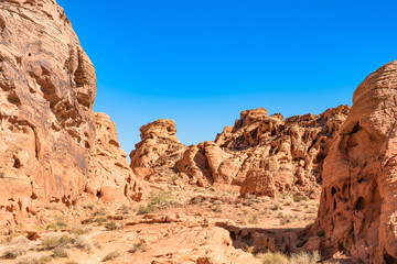 Fototapeta premium The unique red sandstone rock formations in Valley of Fire State park, Nevada, USA